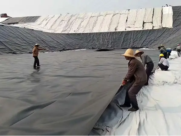 Comprimento Requisito do cliente Geomembrana HDPE impermeável para piscinas 6