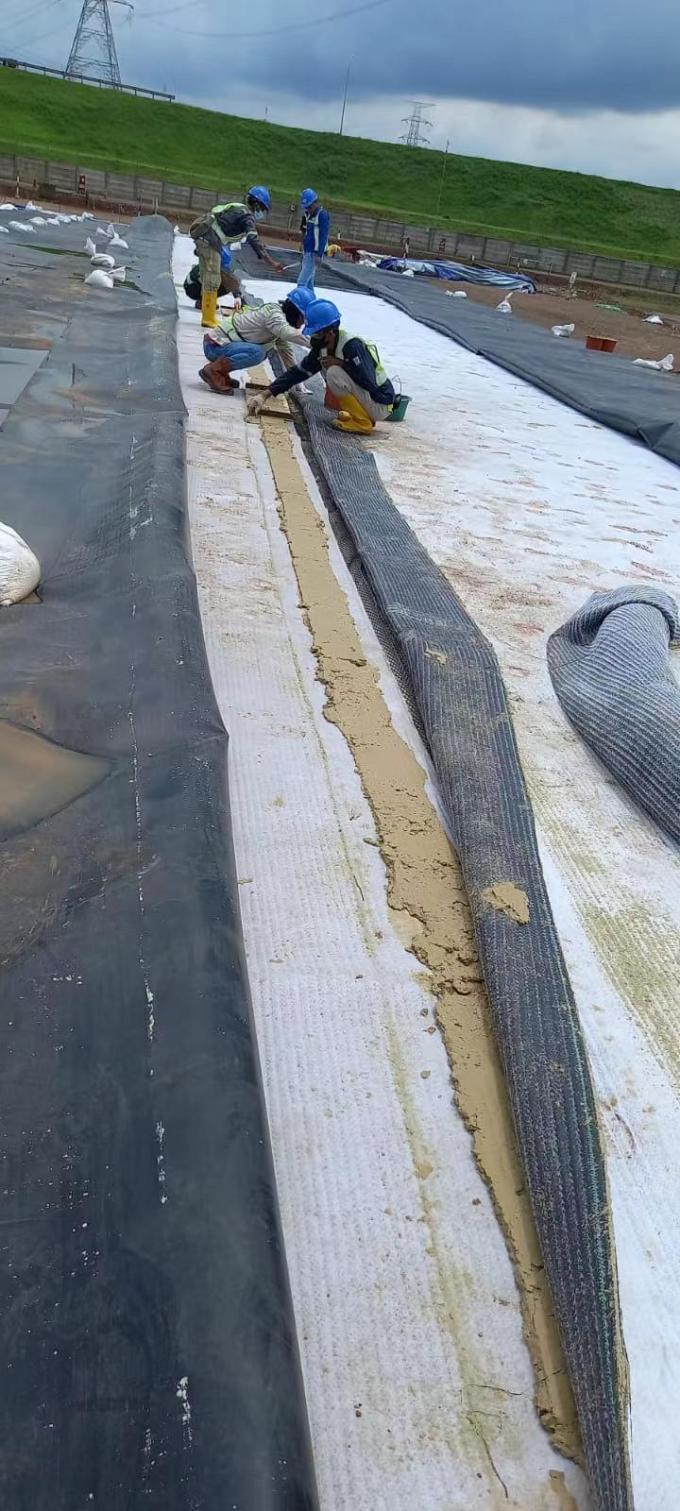 Liner de argila geossintética de alta resistência à tração com esterco de membrana de bentonita à prova d'água 21